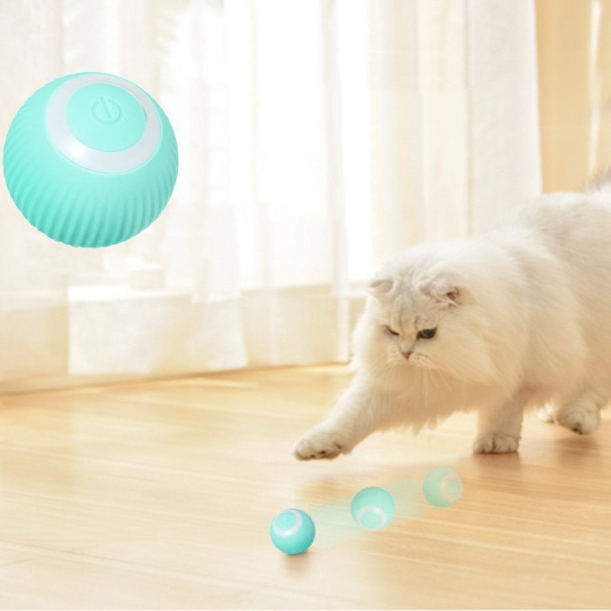 Coball ™ | The automatic rolling cat ball - Novela