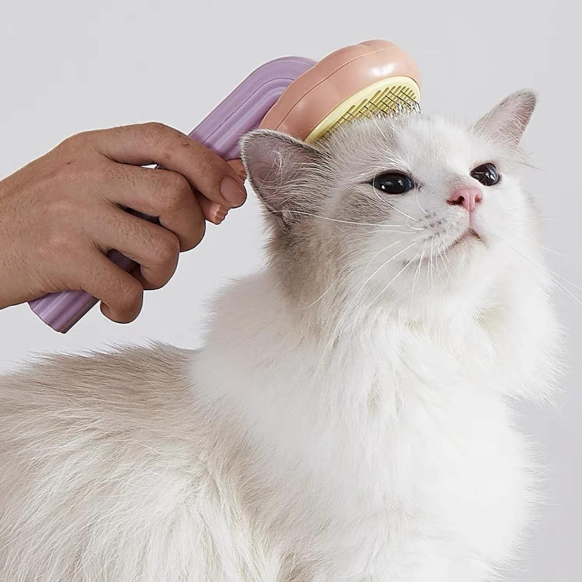 Bloom™ | Proffessional cat grooming brush - Novela