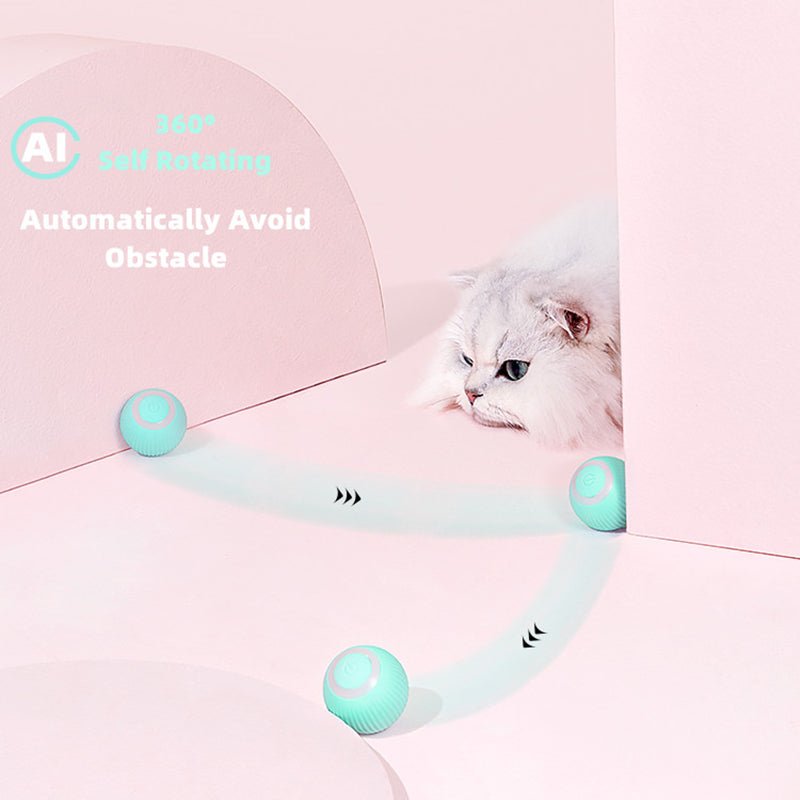 Coball ™ | The automatic rolling cat ball - Novela